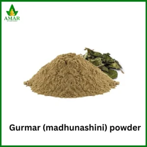 Top 10 Gurmar Powder in India